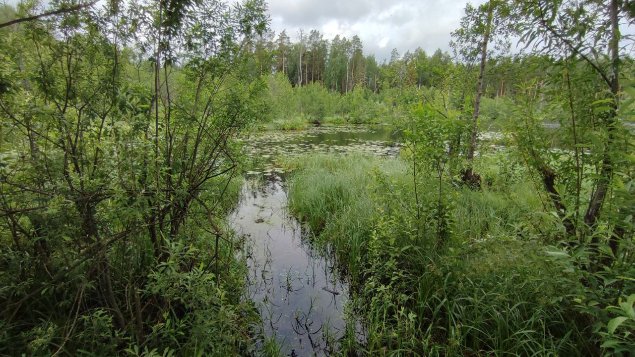 Озеро Безукладовское