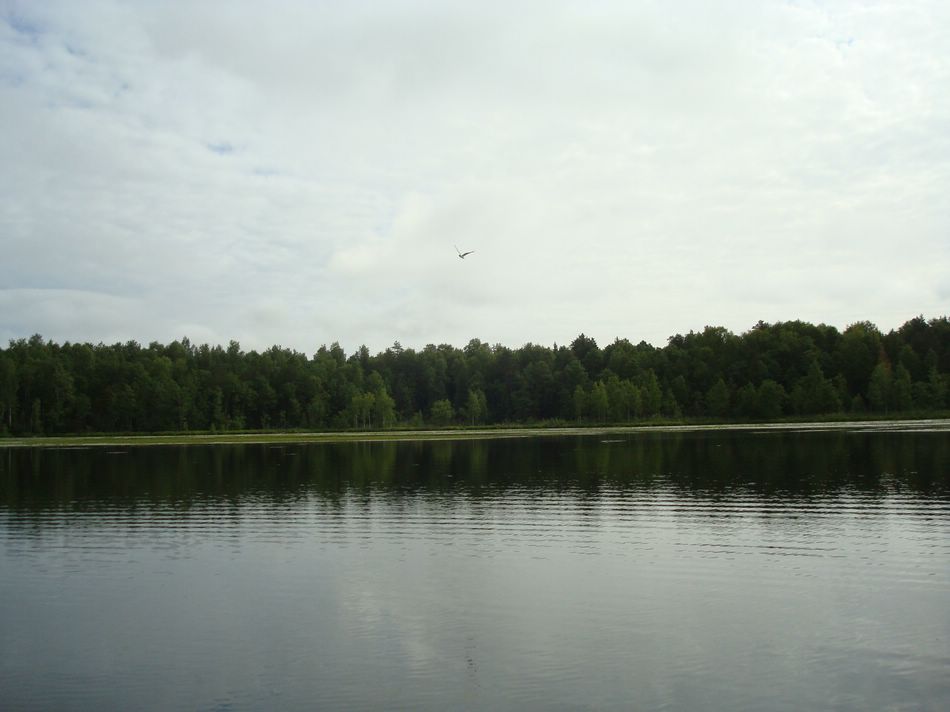 озеро Карасье