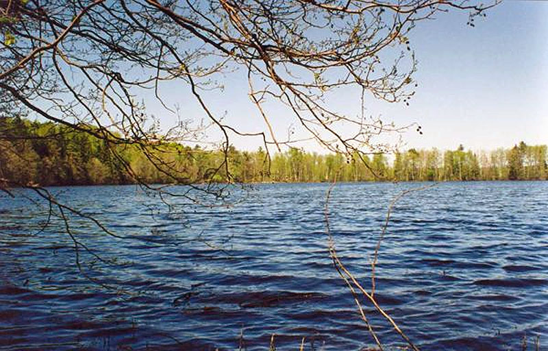 Озеро Кузнечиха