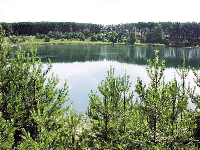 Лежнинское озеро кировская область