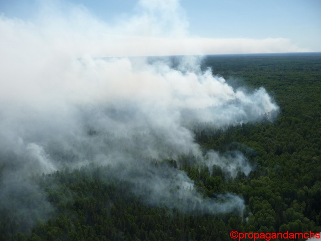 Команда Кочующие - Последствия лесных пожаров летом 2010 года в республике Марий Эл