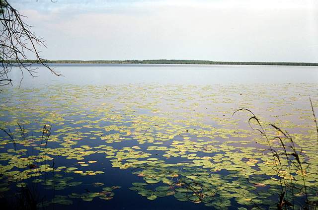 Озеро Большое Плотово 