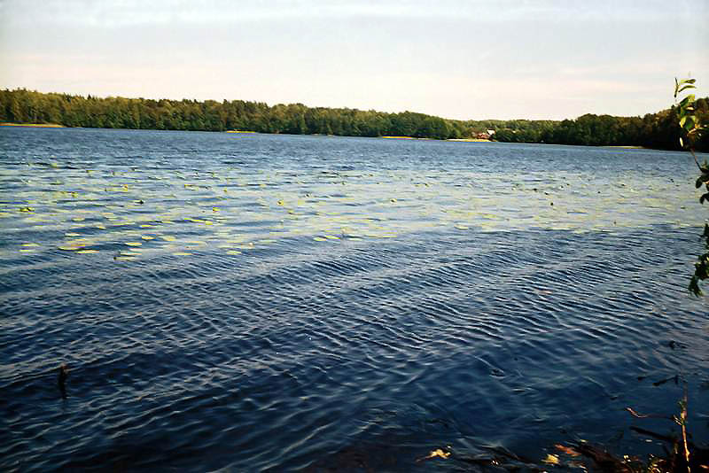 Озеро Шарское (Ширское)