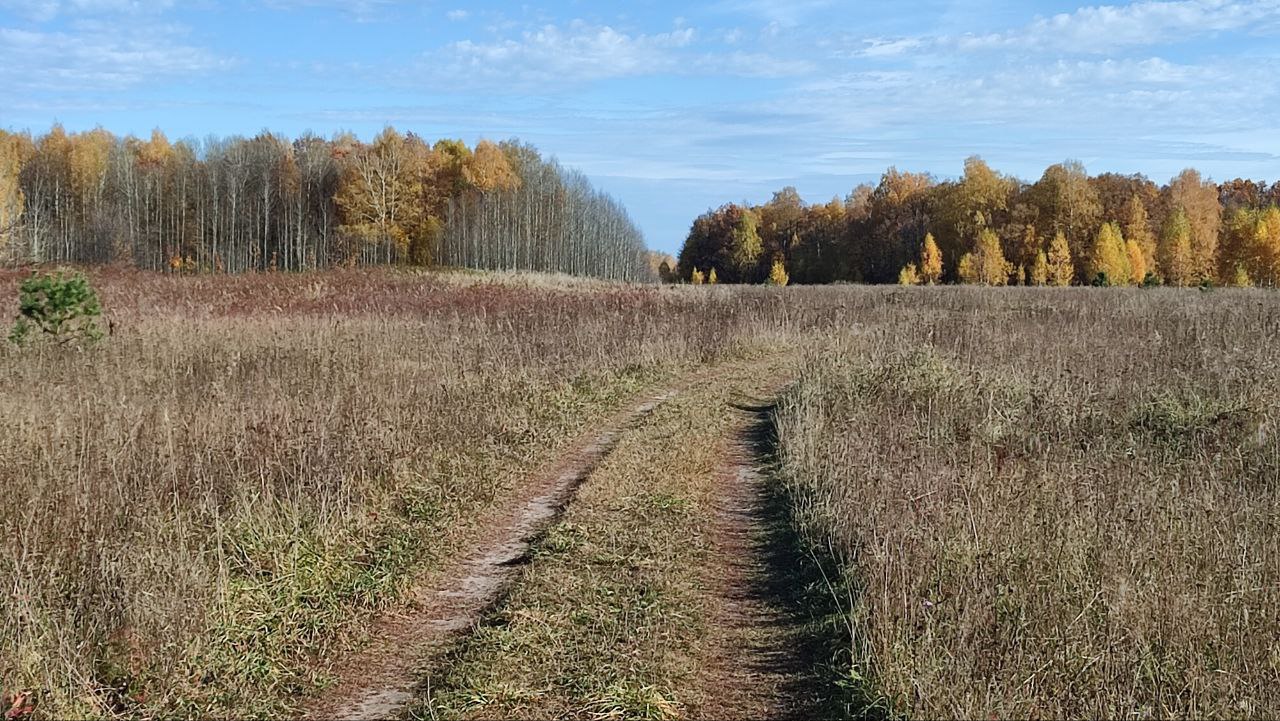 Сталинские луга - поля