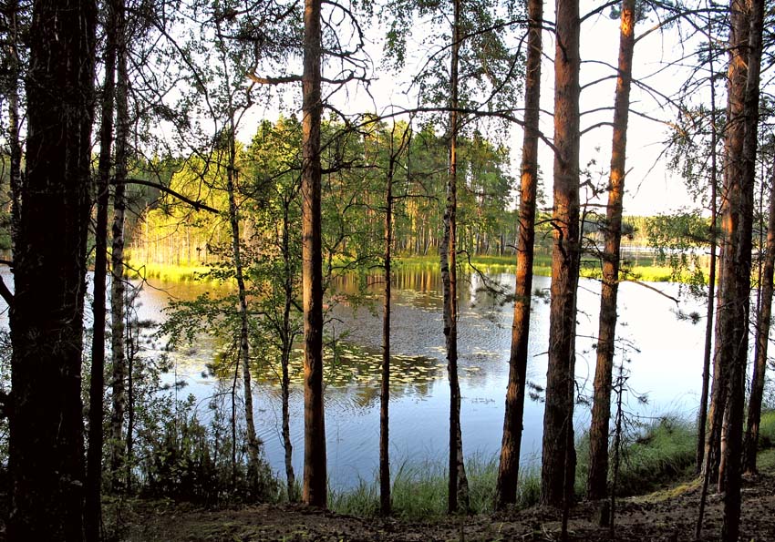 Озеро Степанкино