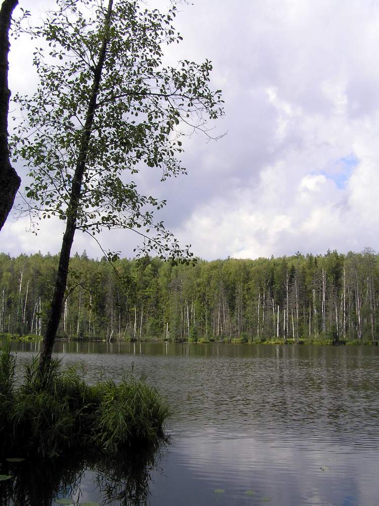 озеро Долгое, Куж-ер