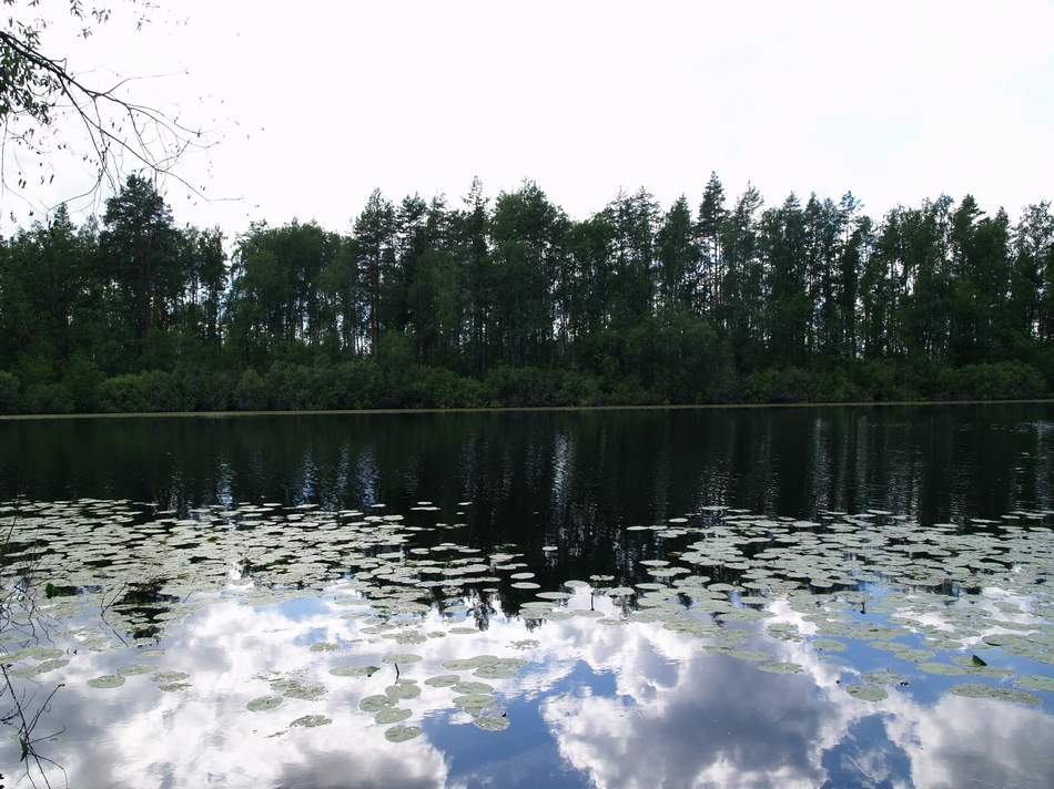 Лучинские озера