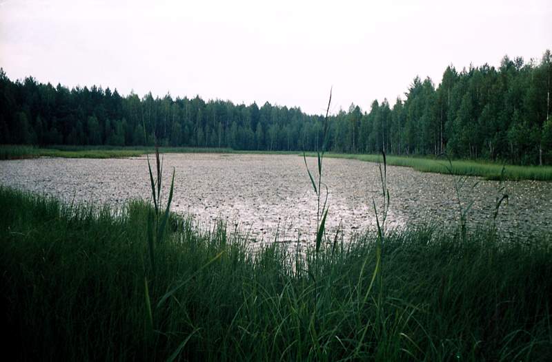 озеро Безымянное