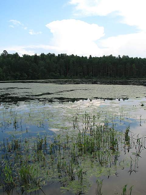 Озеро Визимьярское